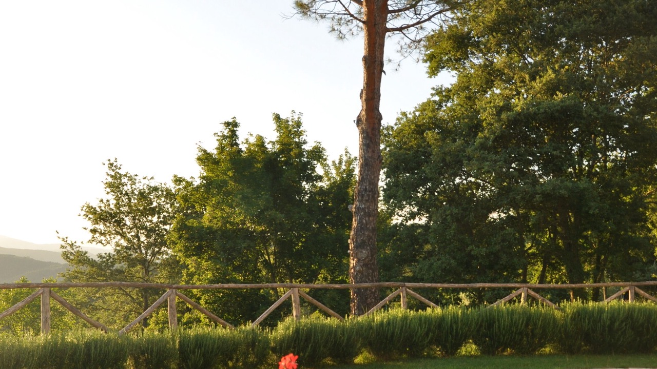 Photo of Outdoor in Bivio Lugnano