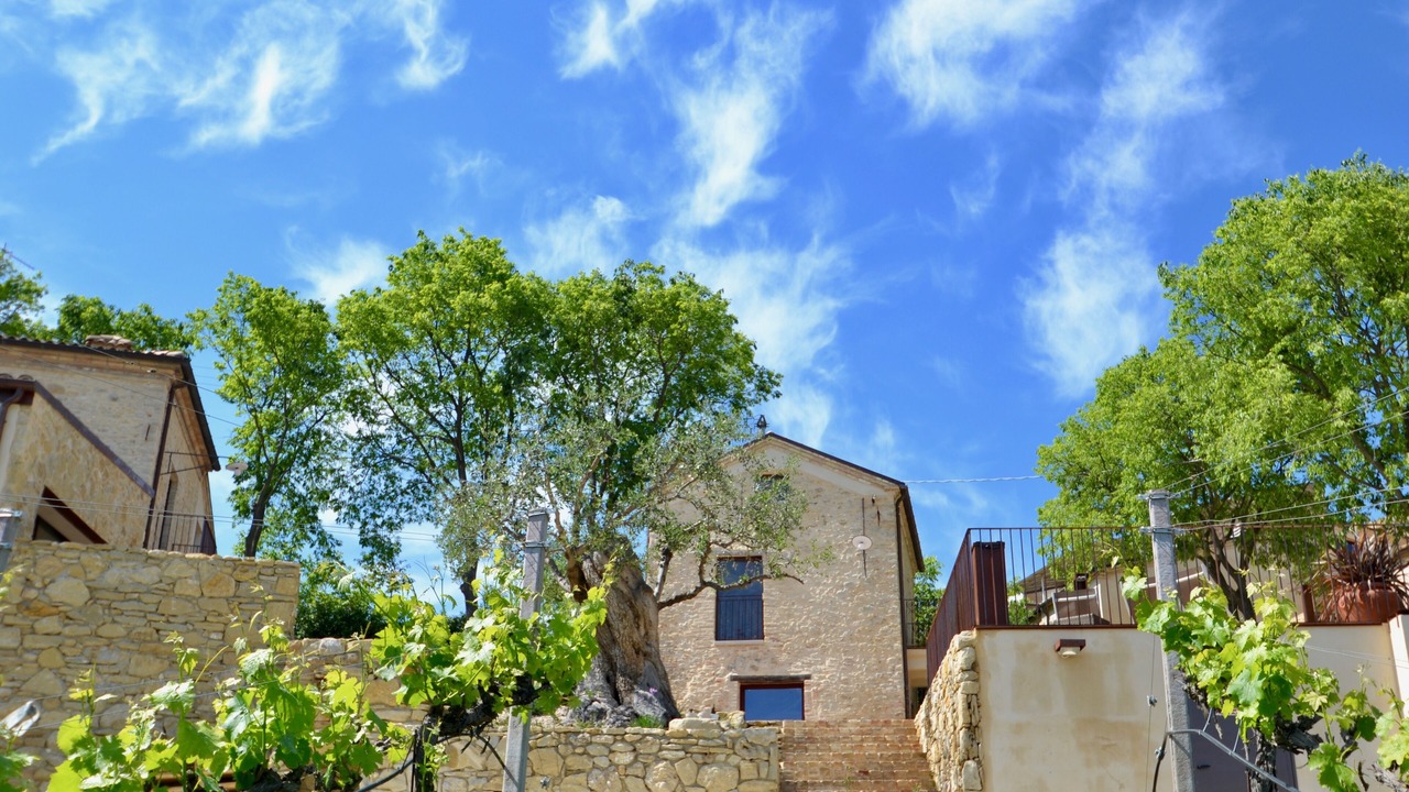 Photo of Outdoor in Crecchio