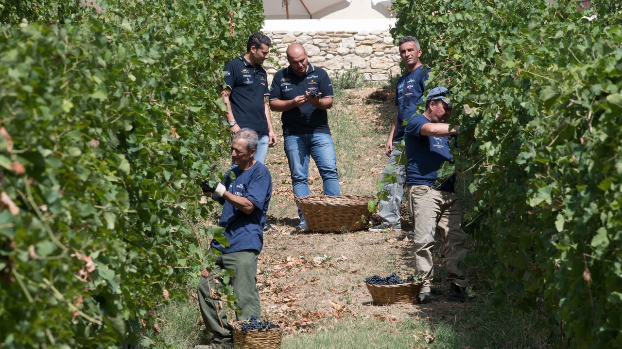 Photo of Outdoor in Crecchio