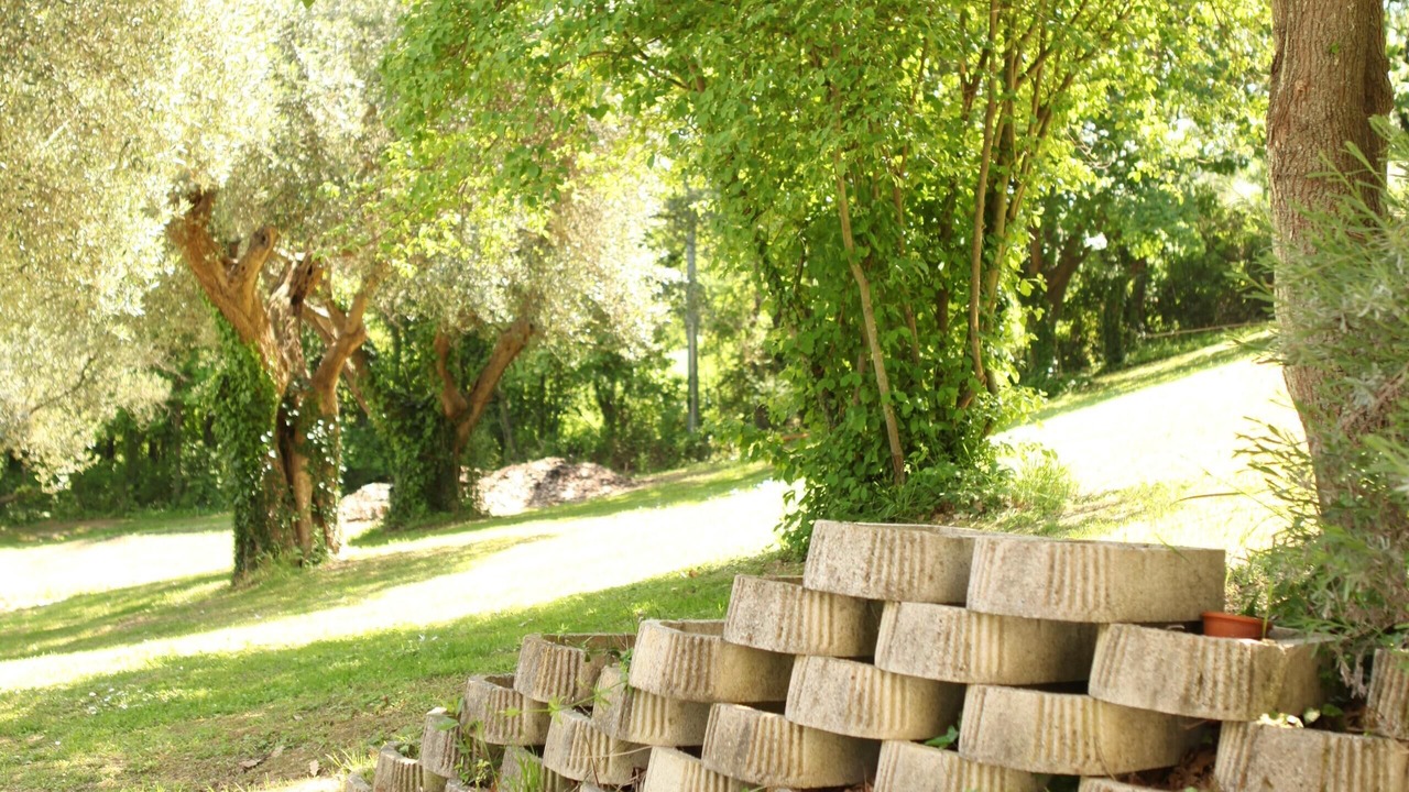 Photo of Others in Offagna