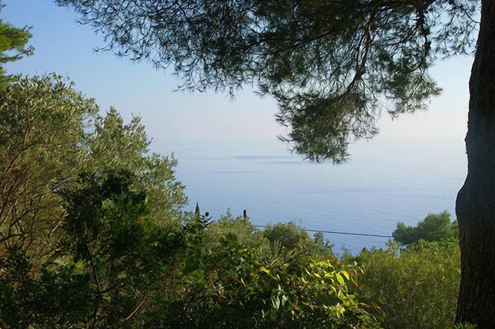 Photo of Others in Maratea