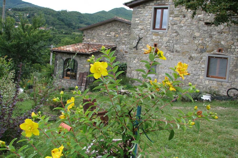 Photo of Outdoor in Caprese Michelangelo