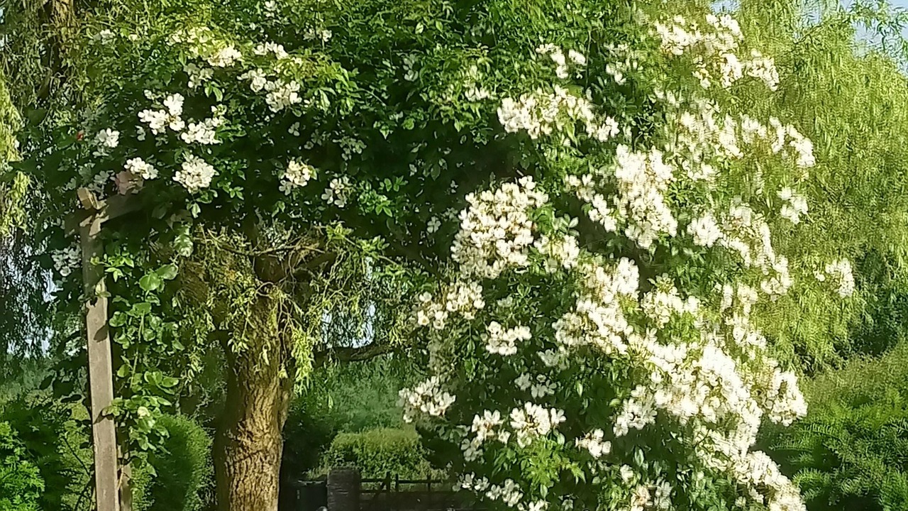 Photo of Outdoor in Lower Wick