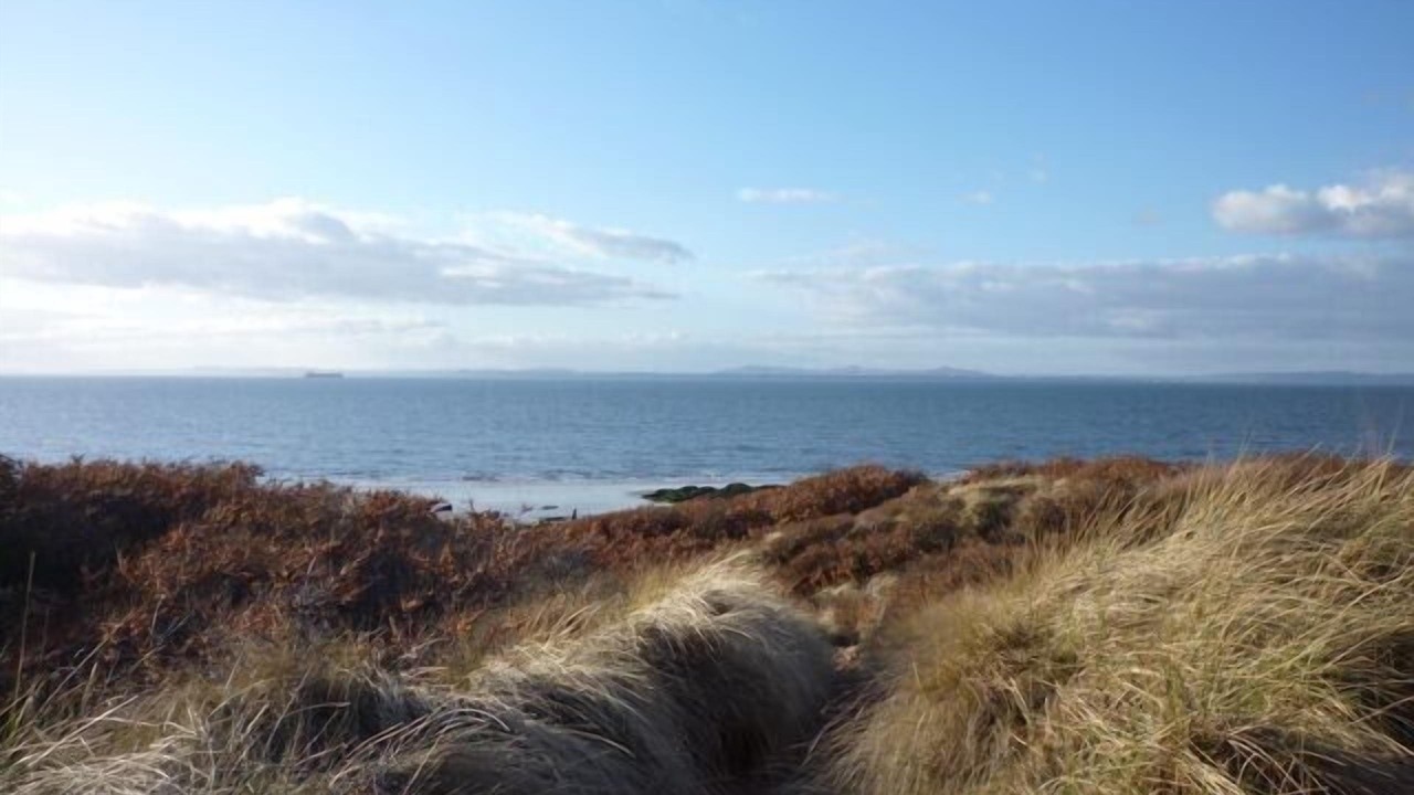 Photo of Others in Gullane