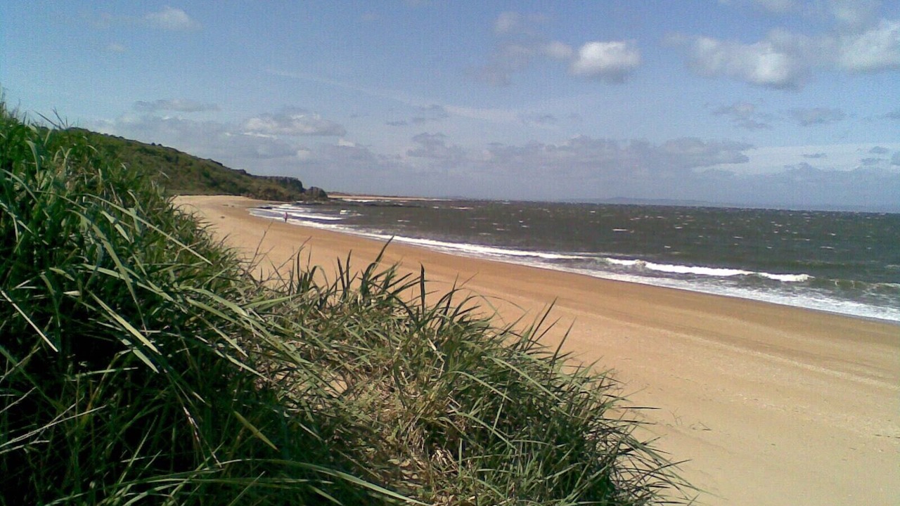 Photo of Others in Gullane