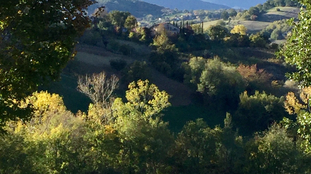 Photo of Others in Sarnano