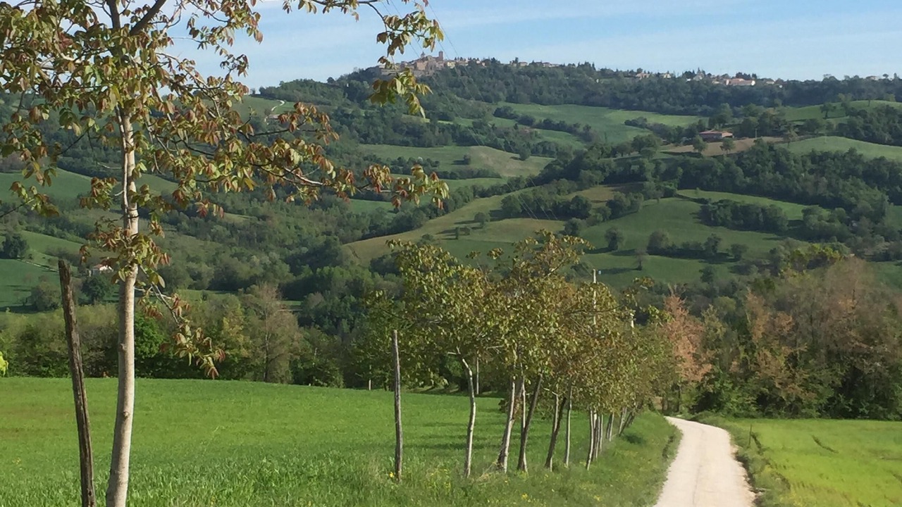 Photo of Outdoor in Sarnano