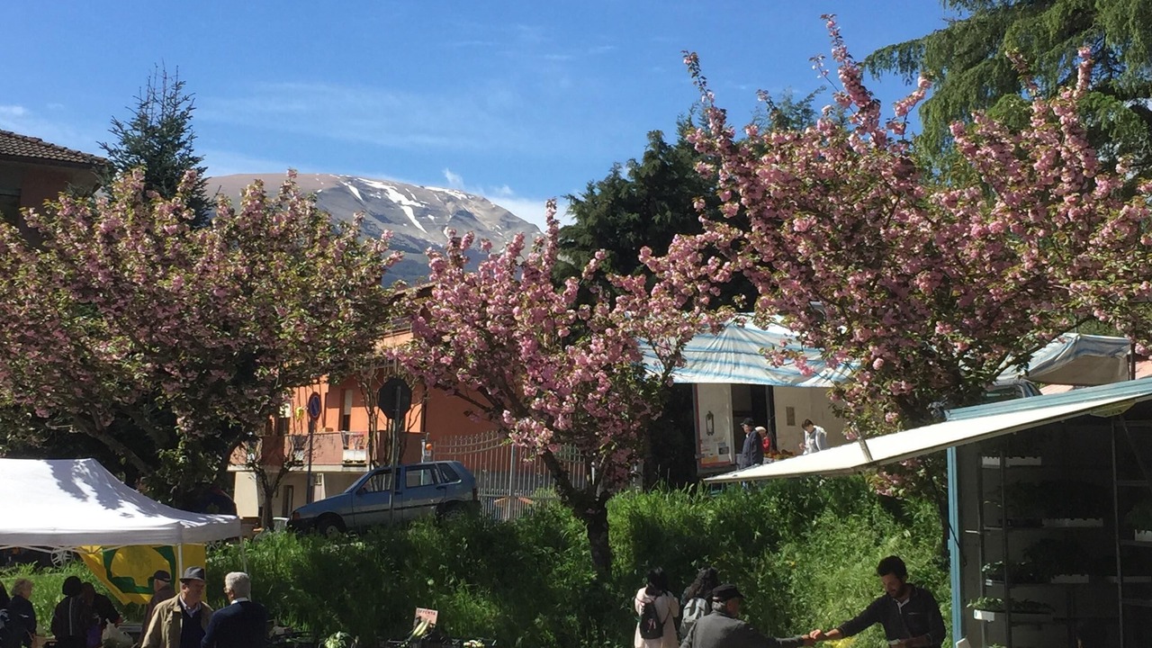 Photo of Outdoor in Sarnano