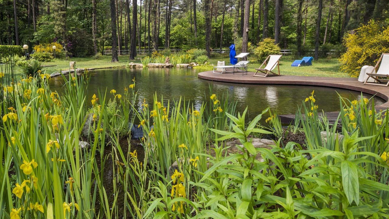 Photo of Outdoor in Vergiate