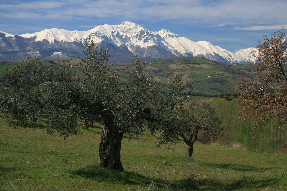 Photo of Others in Castiglione Messer Raimondo