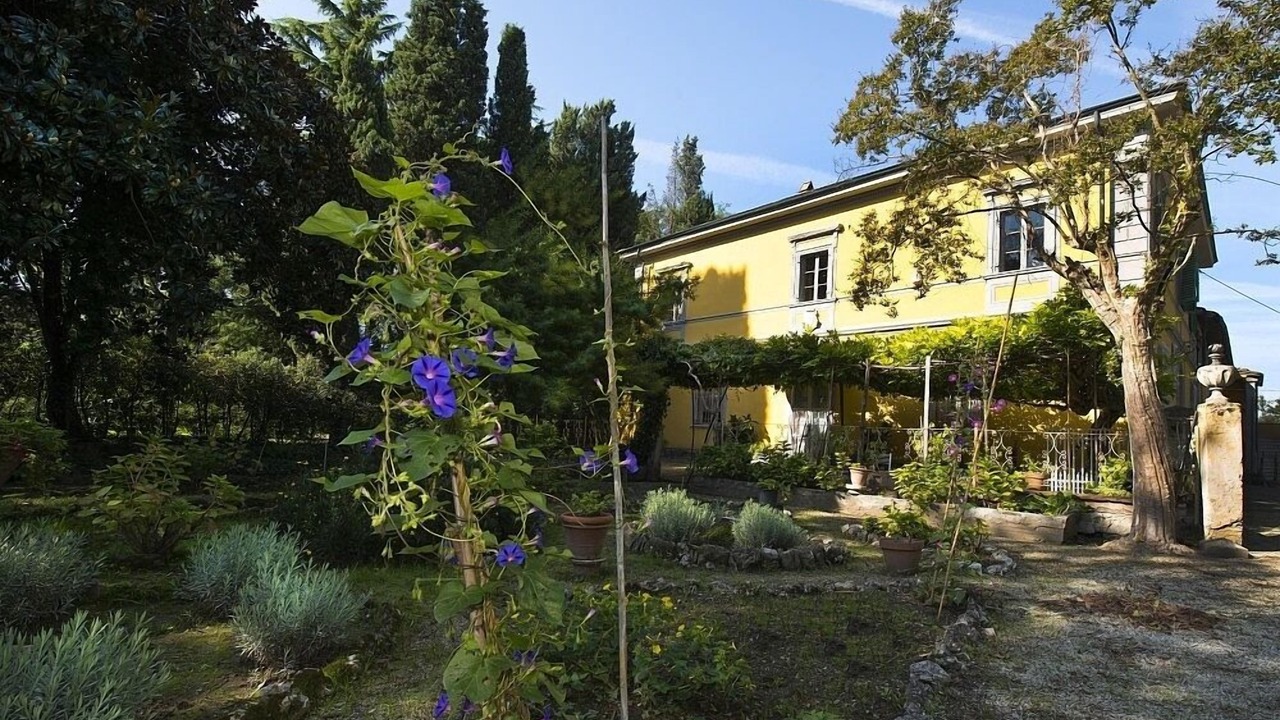 Photo of Outdoor in Pisa