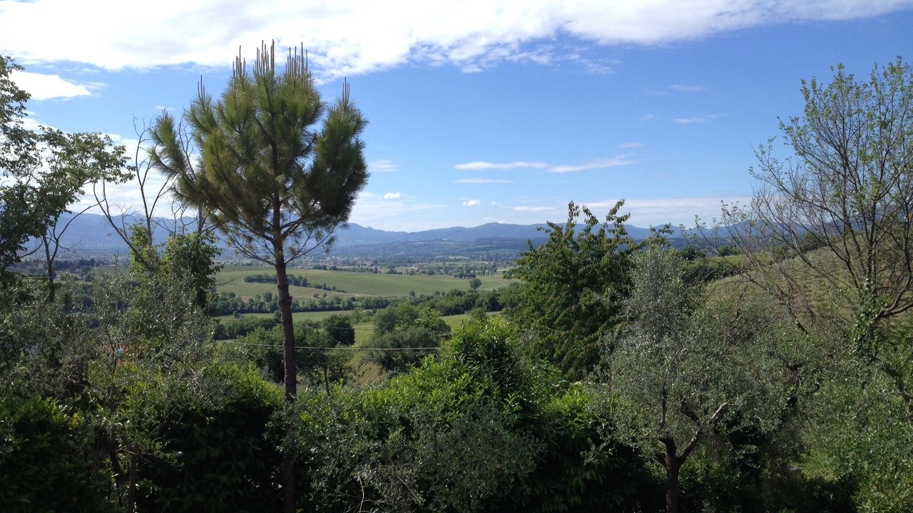 Photo of Outdoor in Montefalco