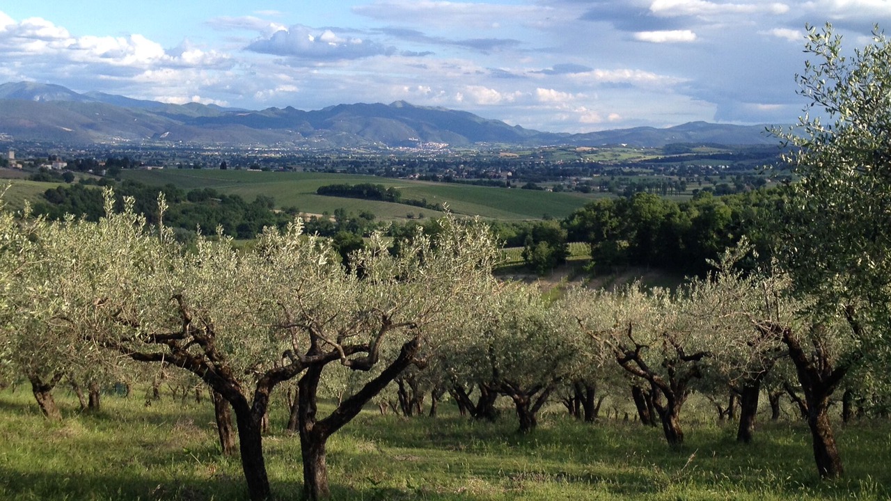 Photo of Outdoor in Montefalco