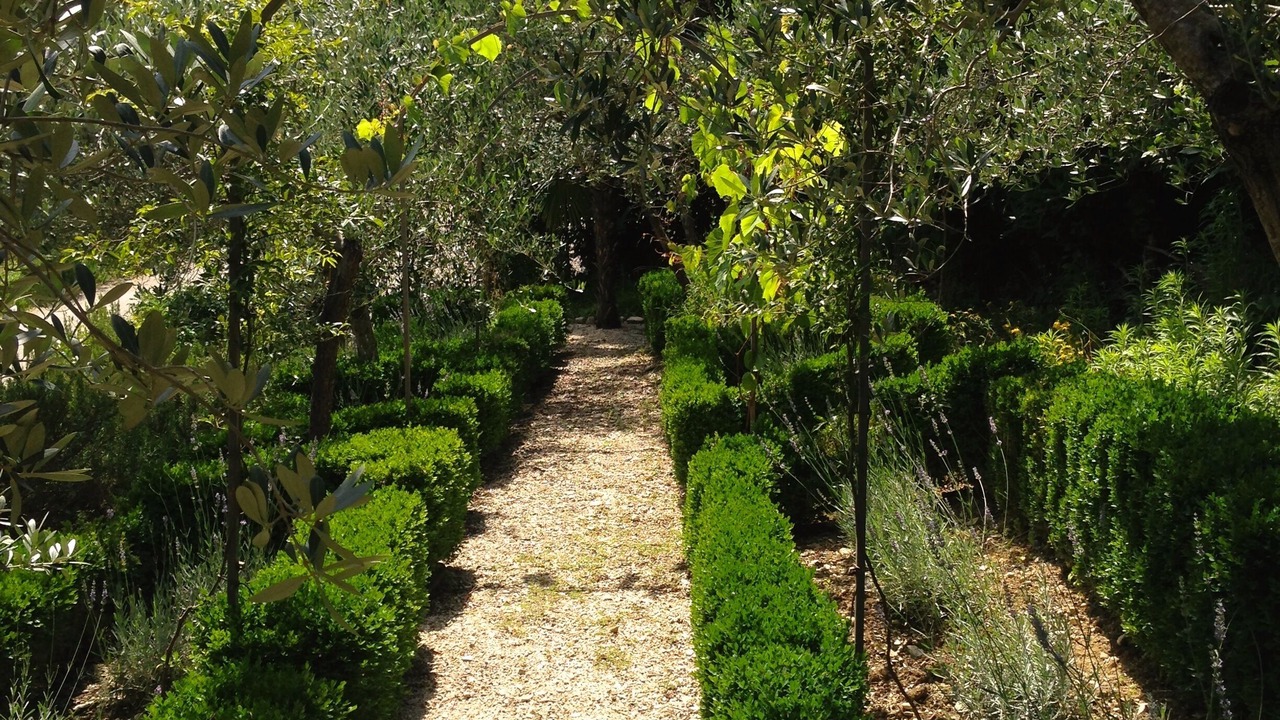 Photo of Outdoor in Montefalco