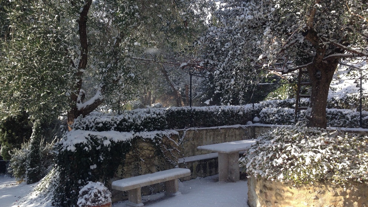 Photo of Outdoor in Montefalco