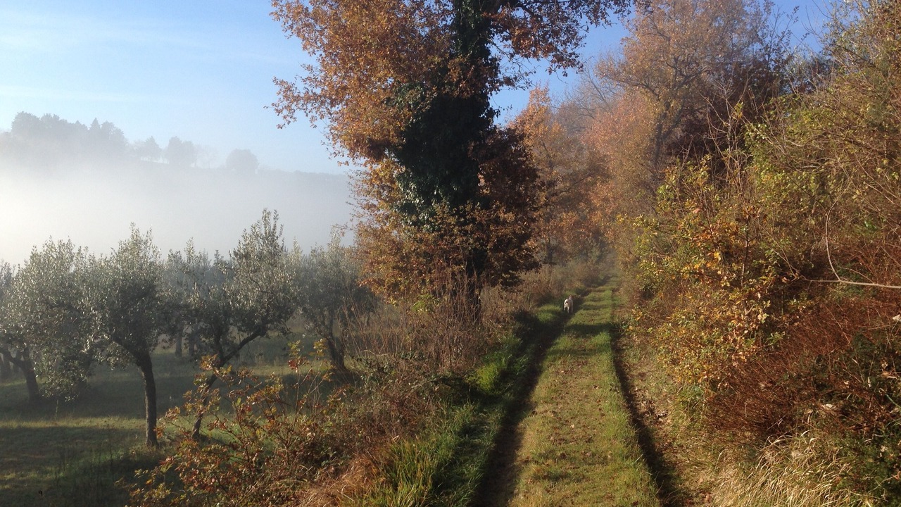 Photo of Outdoor in Montefalco