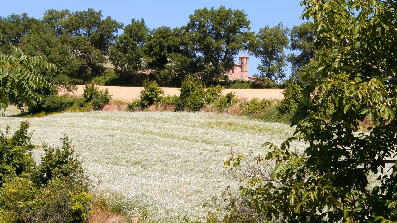 Photo of Outdoor in Fratte Rosa