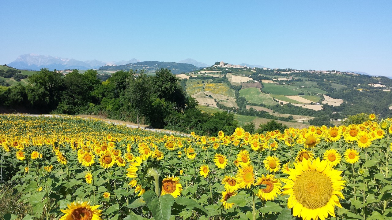 Photo of Outdoor in Montelparo