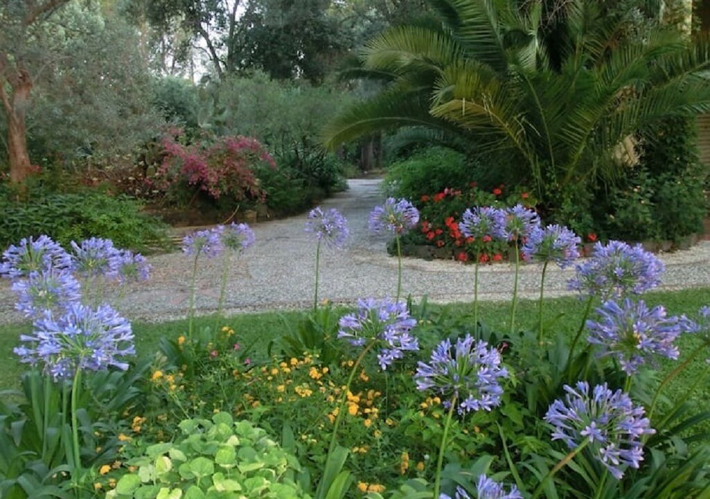 Photo of Outdoor in Linera
