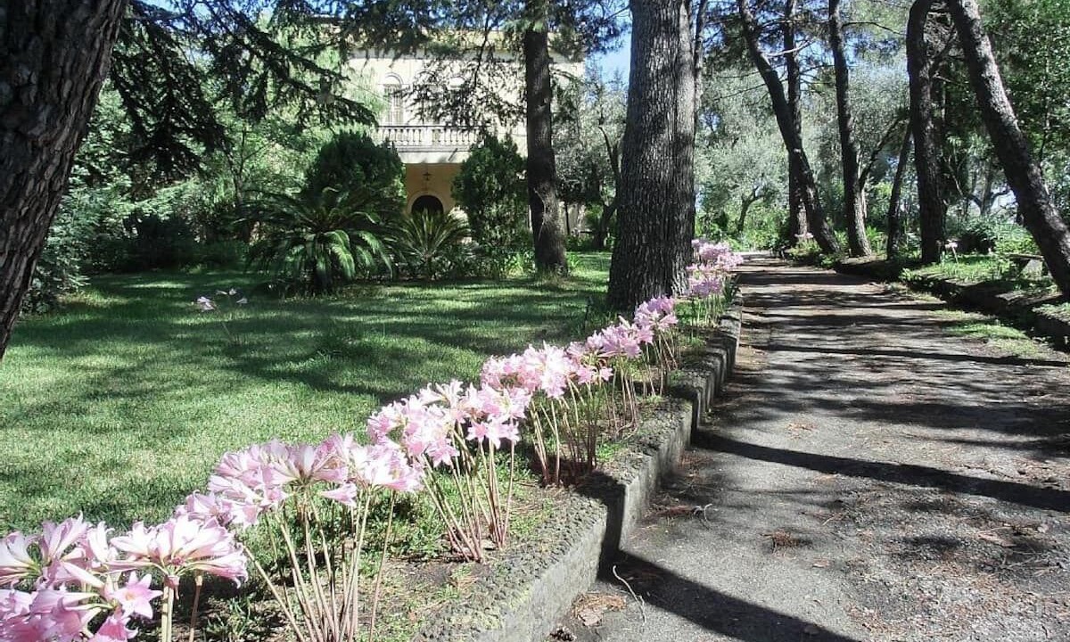 Photo of Outdoor in Linera