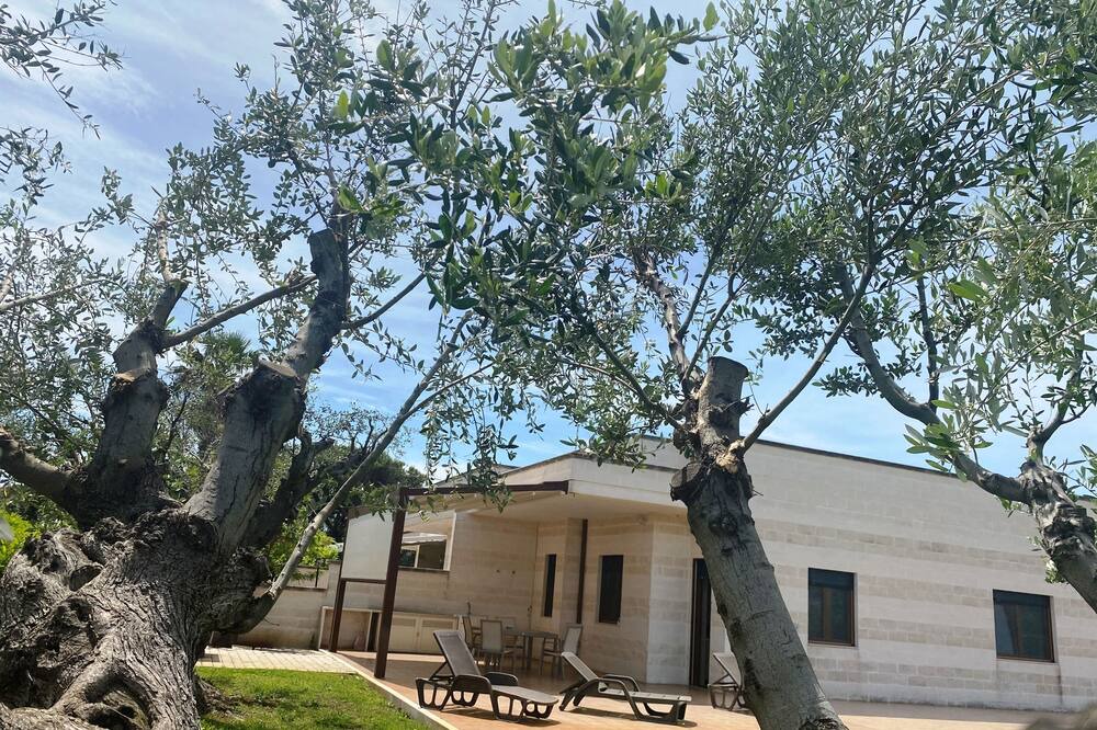 Photo of Outdoor in Pantanagianni-pezze Morelli
