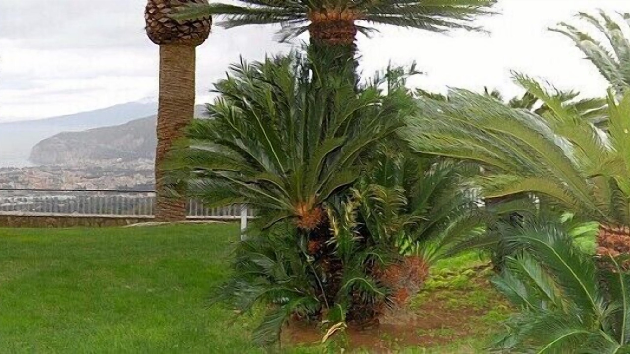 Photo of Outdoor in Colli di Fontanelle