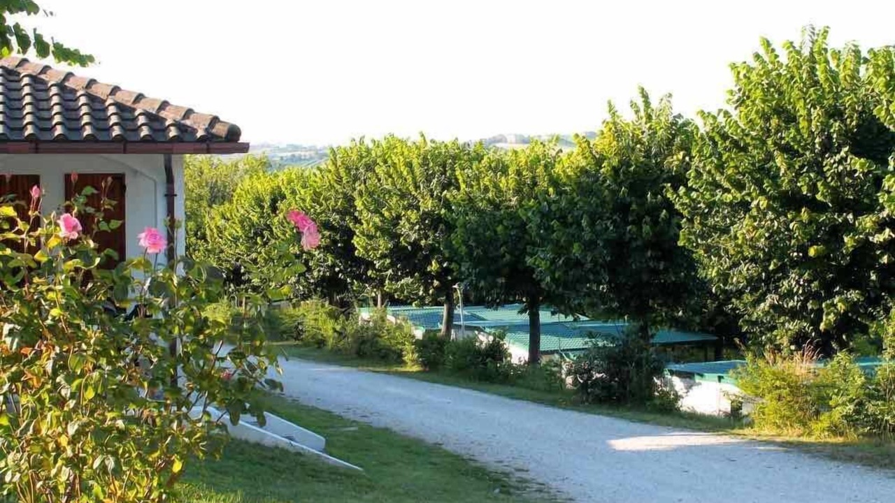 Photo of Outdoor in Stacciola