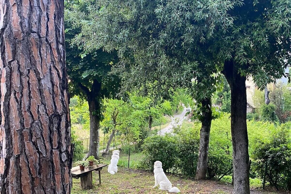 Photo of Outdoor in Pieve al Bagnoro