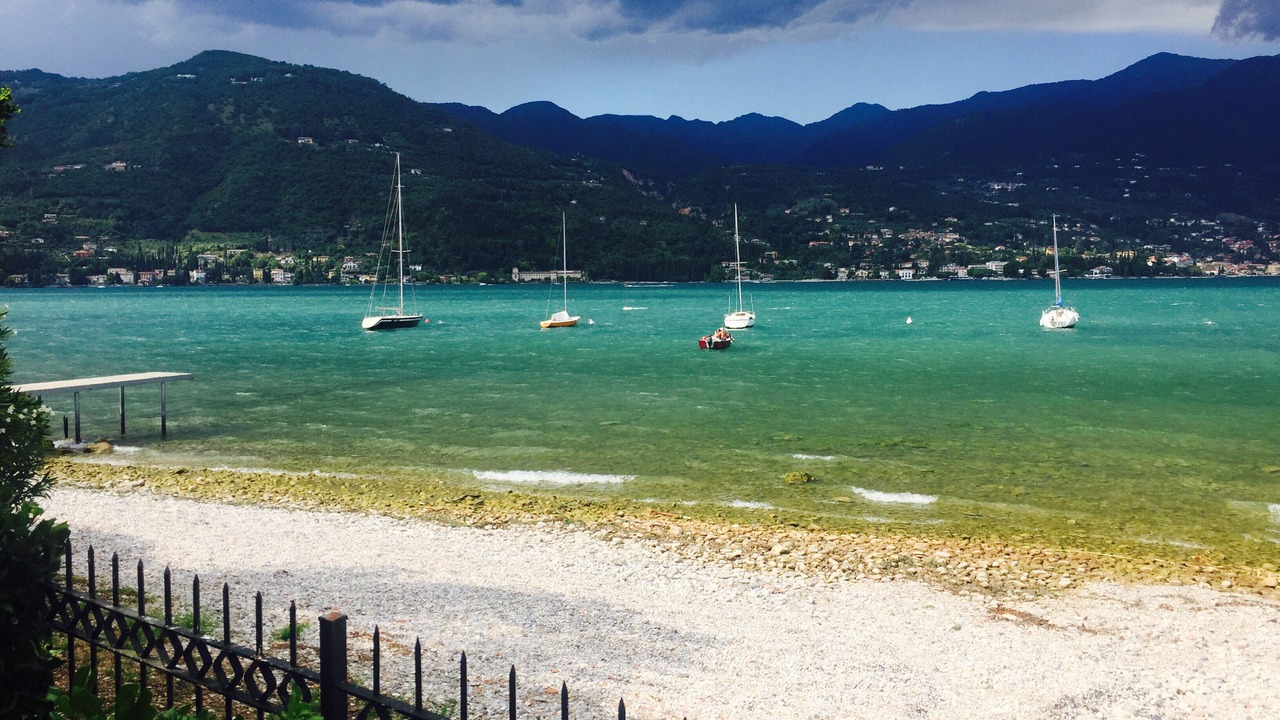 Photo of Others in Portese