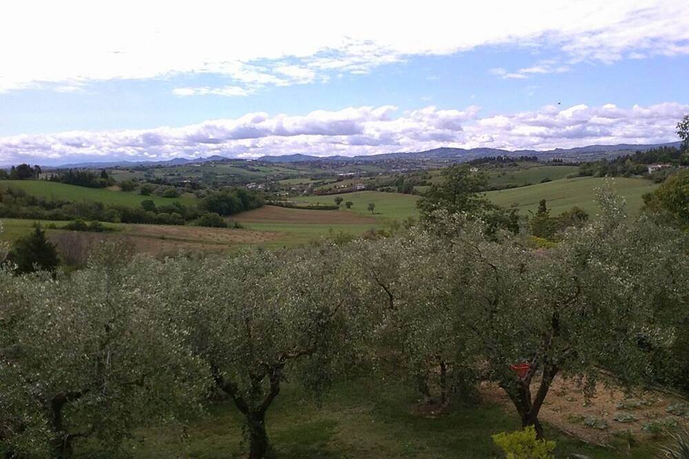 Photo of Outdoor in Rimini