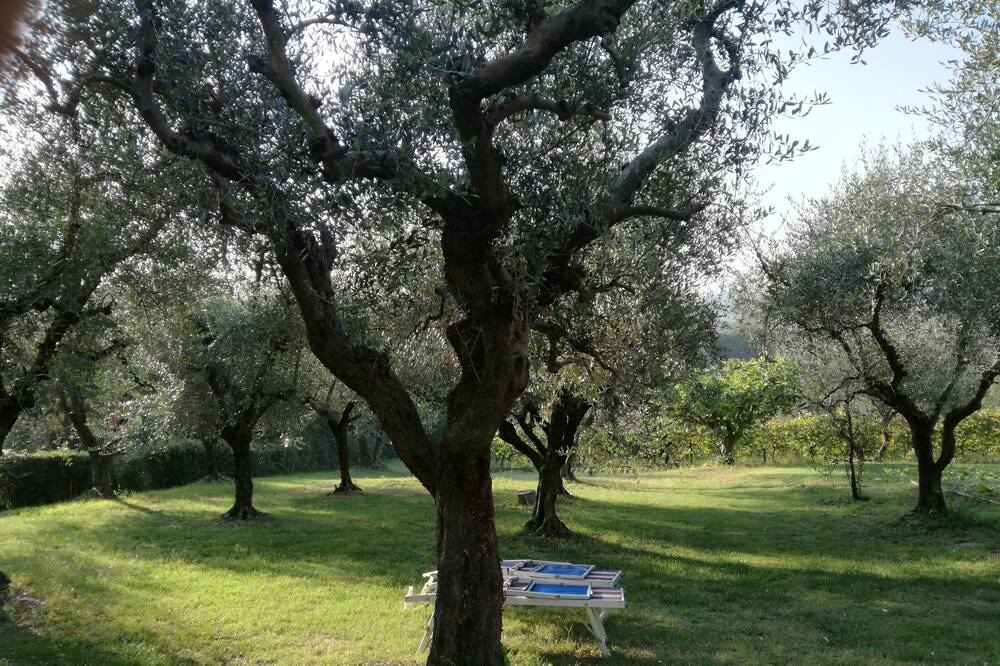Photo of Outdoor in Rimini