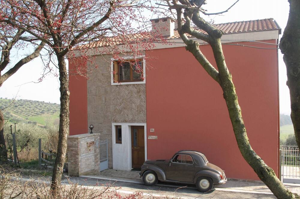 Photo of Others in Rimini