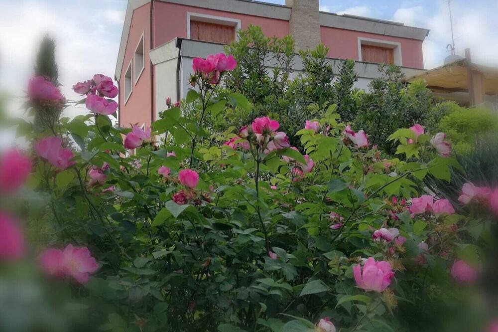 Photo of Outdoor in Rimini