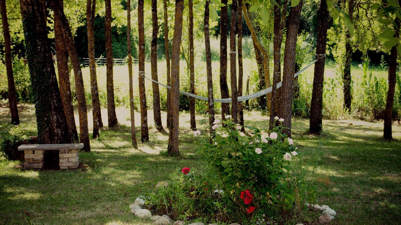 Photo of Outdoor in Sarnano