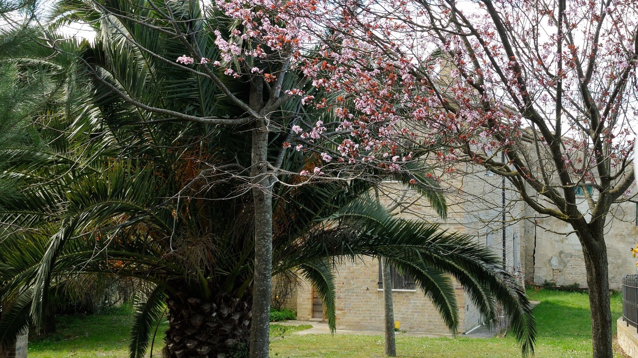 Photo of Outdoor in Offida