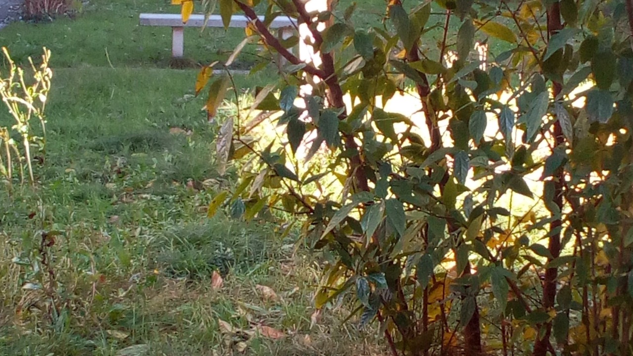 Photo of Outdoor in Rimini