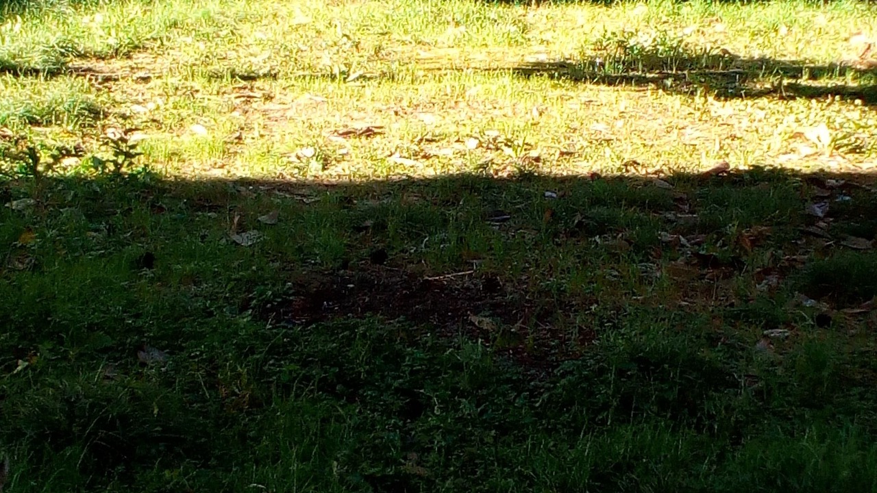 Photo of Outdoor in Rimini