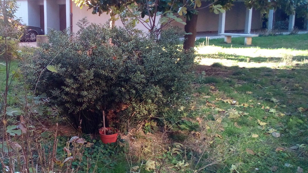 Photo of Outdoor in Rimini
