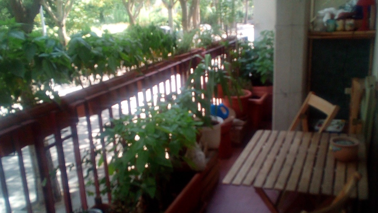Photo of Patio Balcony in Rimini