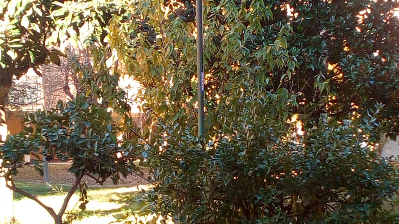 Photo of Outdoor in Rimini