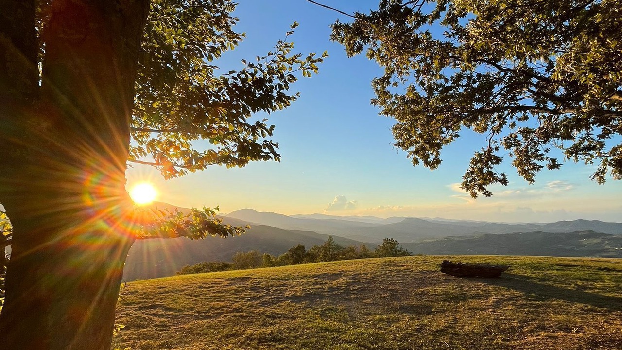 Photo of Outdoor in Toano