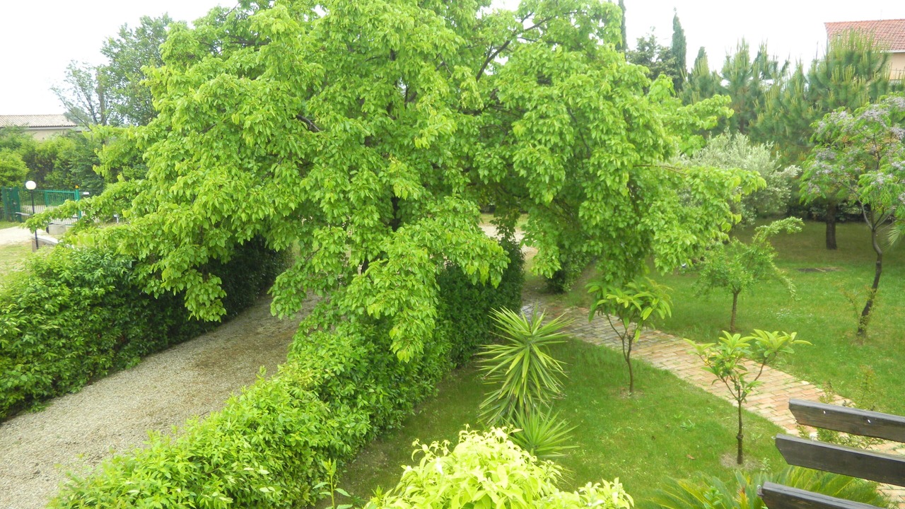 Photo of Outdoor in Porto Sant'Elpidio