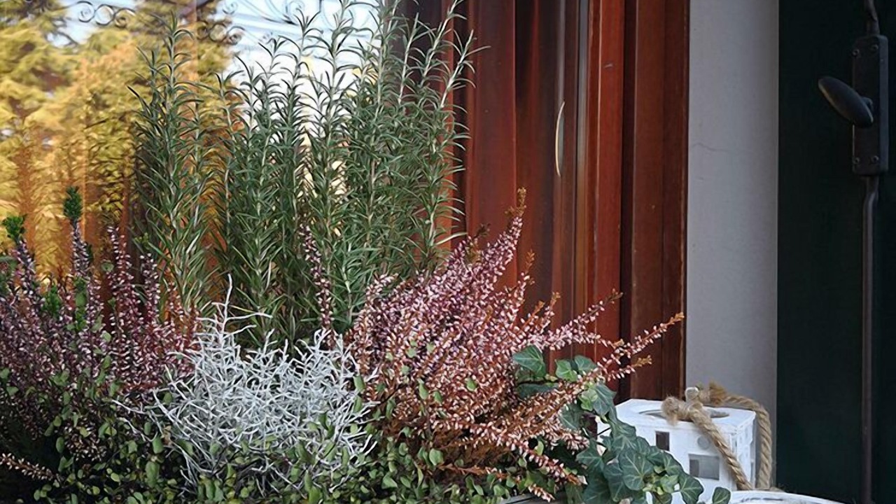 Photo of Outdoor in Cornedo Vicentino