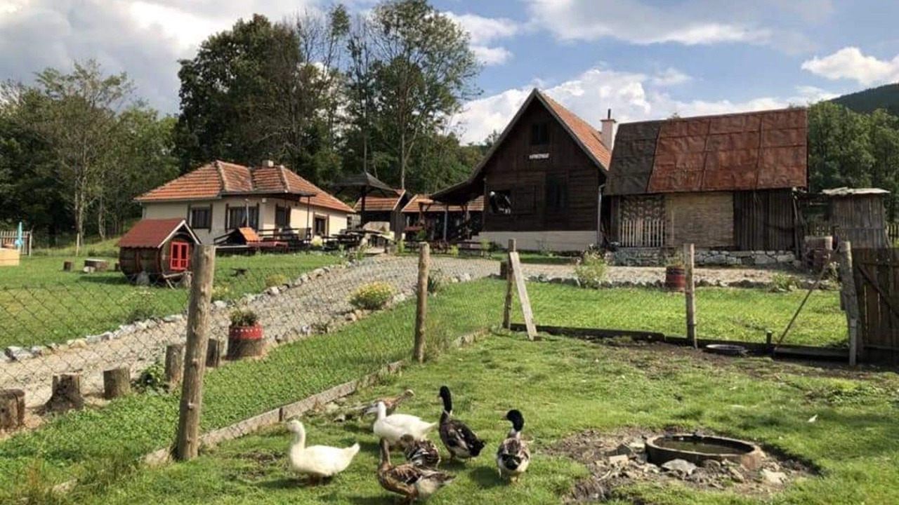 Photo of Outdoor in Vitasi