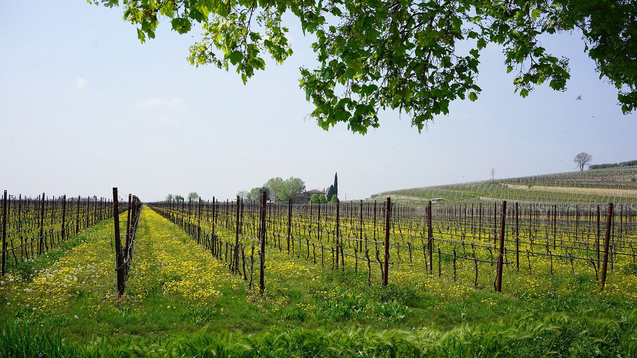Photo of Outdoor in San Pietro in Cariano