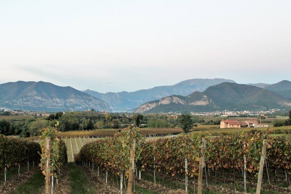 Photo of Outdoor in Torbiato di Adro