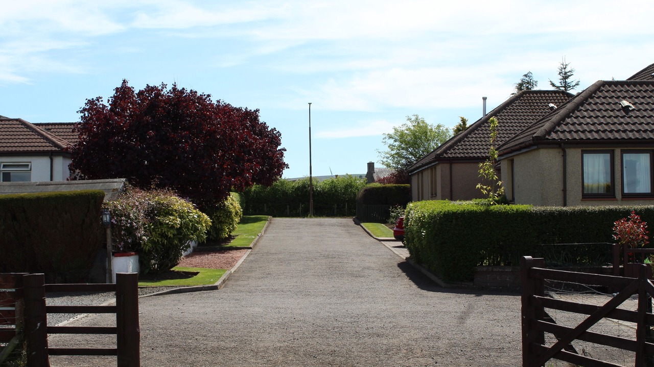 Photo of Outdoor in Livingston