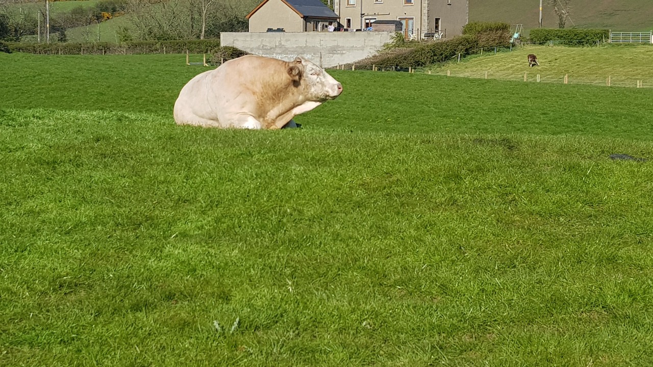 Photo of Outdoor in Newry
