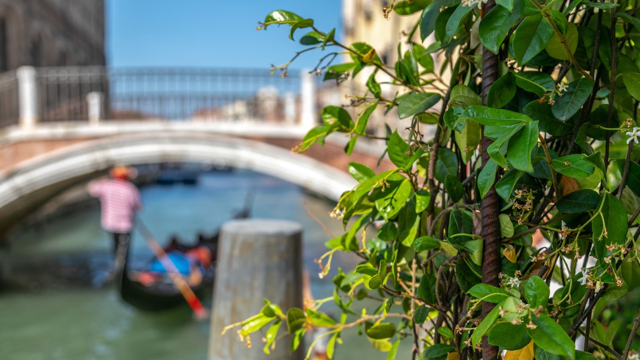 Photo of Outdoor in Cannaregio