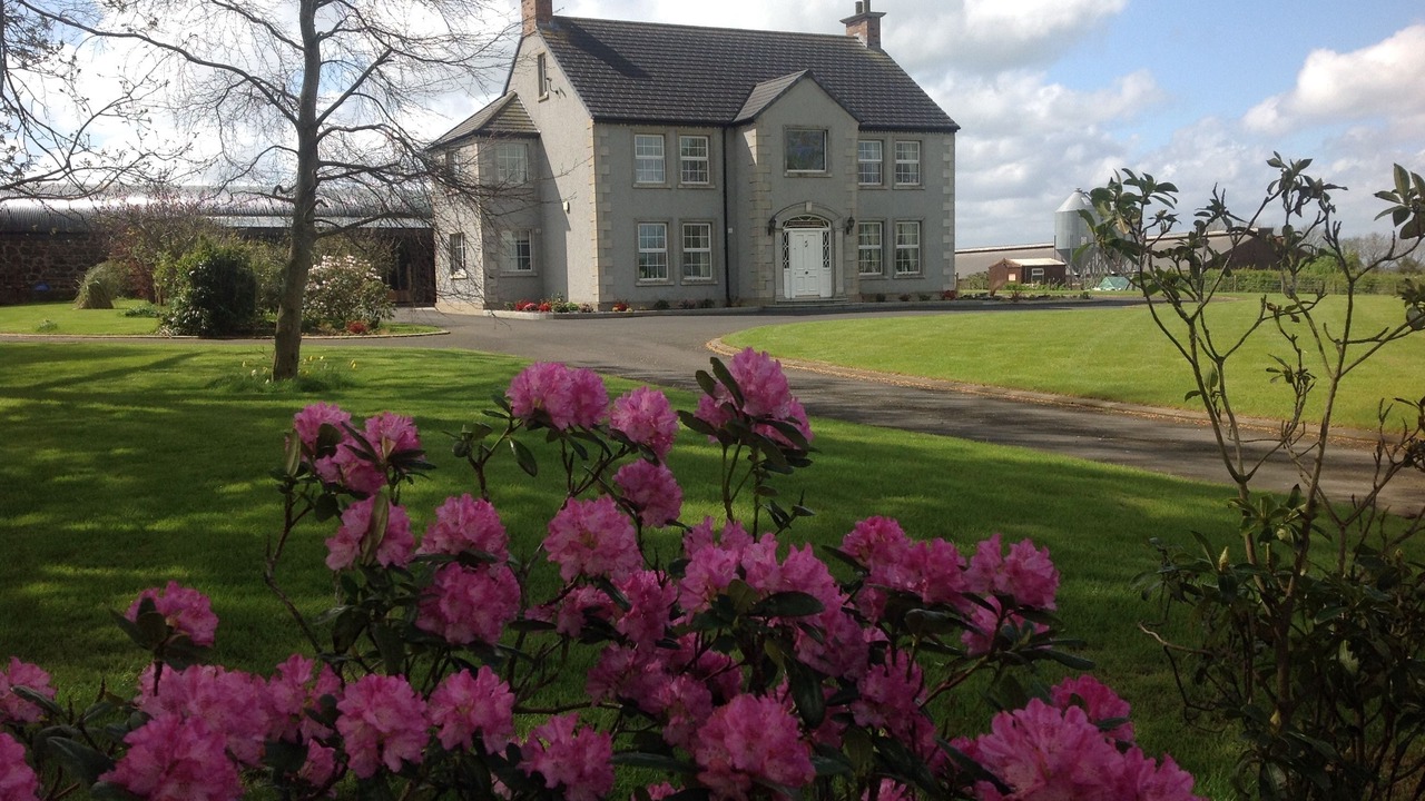 Photo of Others in Antrim
